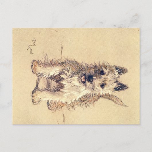 A Dozen Honden of zo Cecil Aldin Briefkaart (Voorkant)