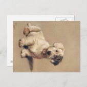 A Dozen Honden of zo Cecil Aldin Briefkaart (Voorkant / Achterkant)