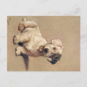 A Dozen Honden of zo Cecil Aldin Briefkaart