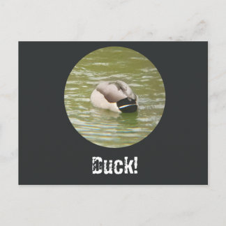 A Ducking Duck Postcard Feestdagenkaart