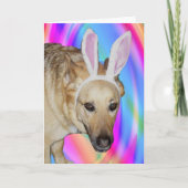 A Easter Bunny ? Carte (Devant)