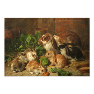 A Family of Rabbit by Alfred Richardson Barber Foto Afdruk