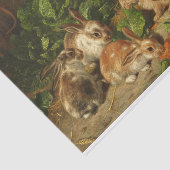 A Family of Rabbit by Alfred Richardson Barber Tissuepapier (Detail)
