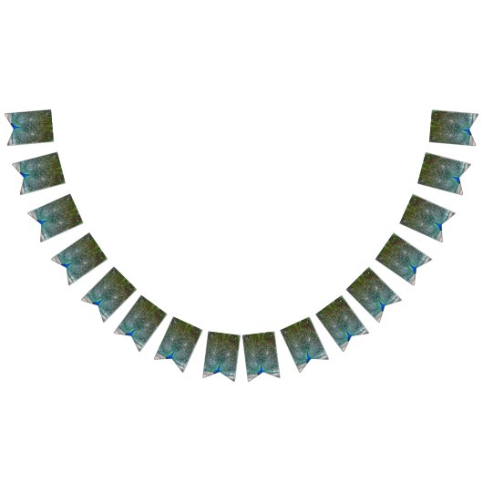 À Fanions Bannière du Peacock Design Party (Tout)