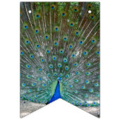À Fanions Bannière du Peacock Design Party (Deuxième drapeau)