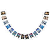 À Fanions Bannière Orca Bunting (Tout)