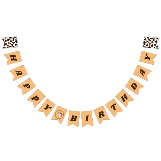 À Fanions Bannière "Pas mon premier rodéo" (Tout)