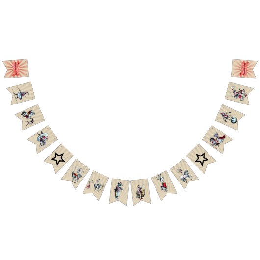 À Fanions Bannière vintage de partie de cirque (Tout)