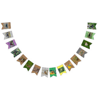 À Fanions Enregistrer la bannière d'anniversaire des papillo