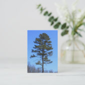 à feuillage persistant hiver cartes de visite bleu (Debout devant)