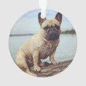 A French Bulldog Ornament (achterkant)