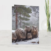 À Froid : Carte d'anniversaire Wombat (Dos)
