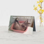 A Funny Cat Birthday Card 5X7 Kaart (Gele Bloem)