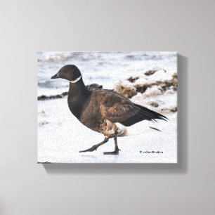 A Goosesteppin' Brant Canvas Afdruk
