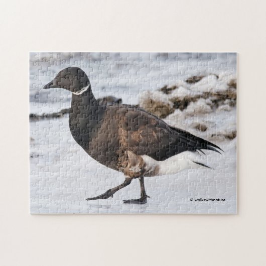 A Goosesteppin' Brant Legpuzzel (Horizontaal)