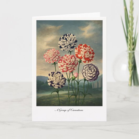 A Group of Carnations — Modern Botanical Reinterpr Kaart (Voorkant)