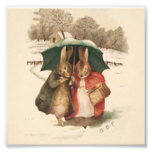 "A Happy Pair" van Beatrix Potter Foto Afdruk