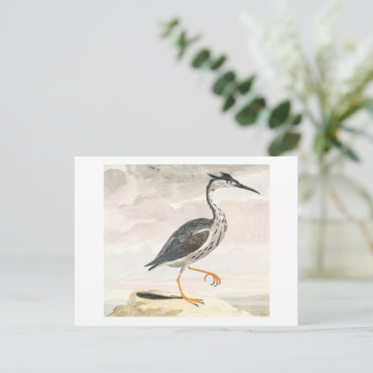 A Heron door Johan Teyler Bird Art Briefkaart (Staand voorkant)