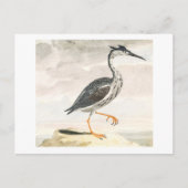 A Heron door Johan Teyler Bird Art Briefkaart (Voorkant)
