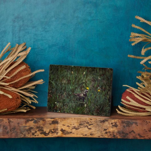 A Horned Lark Fotoplaat (Zijkant)