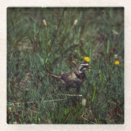 A Horned Lark Glazen Onderzetter