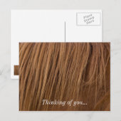 A Horse Mane Briefkaart (Voorkant / Achterkant)