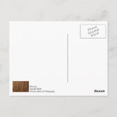 A Horse Mane Briefkaart (Achterkant)