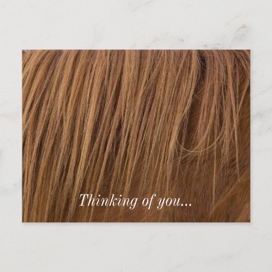 A Horse Mane Briefkaart (Voorkant)