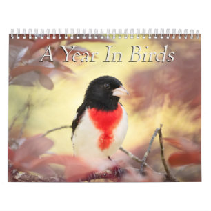 A jaar vogelkalender kalender
