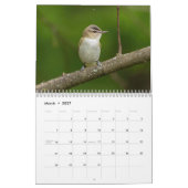 A jaar vogelkalender kalender (Mar 2027)