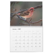 A jaar vogelkalender kalender (Jan 2027)