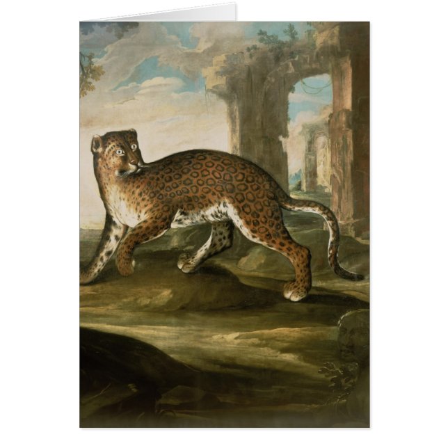 A Jaguar (Voorkant)