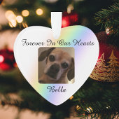 À jamais dans nos cœurs, Arc-en-ciel du pont des a