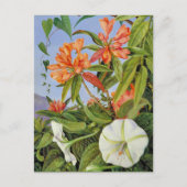 A Javan Rhododendrum en Ipomoea Briefkaart (Voorkant)