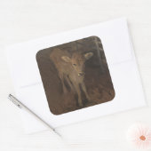 A Jersey Calf Vierkante Sticker (Envelop)