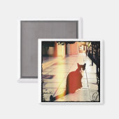 A Kat Magneet (Voorkant / Achterkant)