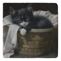 A Kittens Cozy Corner