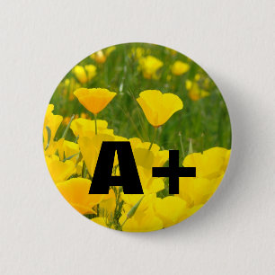 A+ knoppen Klaprozen Tuin Weiland Ronde Button 5,7 Cm