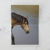 À la carte de voeux du Wild Horse Waterhole (Intérieur)