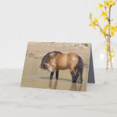 À la carte de voeux du Wild Horse Waterhole (Fleur jaune)