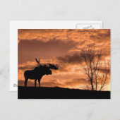 à la carte postale du coucher du soleil (Devant / Derrière)