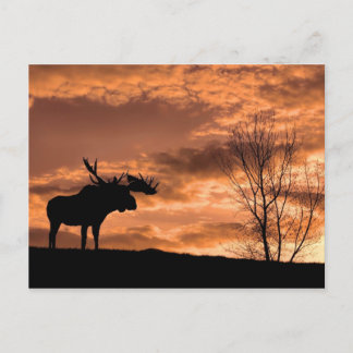 à la carte postale du coucher du soleil