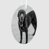 À la mémoire - Mémoire personnalisable Black Lab (devant)