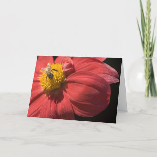 À l'abeille ou pas à la carte de voeux d'abeille