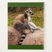 a lemur of Madagascar on planner (Achterkant)