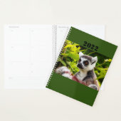 a lemur of Madagascar on planner (Display)