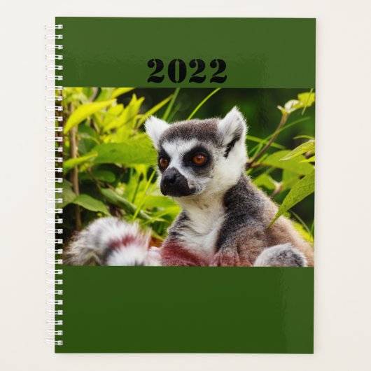 a lemur of Madagascar on planner (Voorkant)