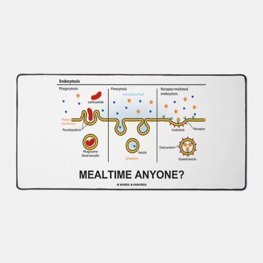 À L'Heure Du Repas, Quelqu'Un ? Endocytose Humour (Recto)