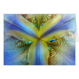 A l'intérieur de Iris