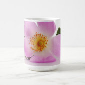 À l'intérieur d'une Mug à fleurs violettes (Centre)